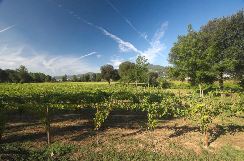 1720 Quinta Da Cancela - Winery & Farmhouse Guimaraes Bagian luar foto